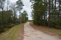 Undeveloped Land in Bryan County, Georgia