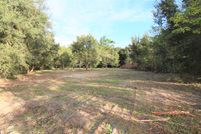 Undeveloped Land in Pasco County, Florida