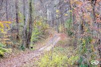 Undeveloped Land in Gallia County, Ohio