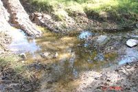 Timberland Property in Comanche County, Texas