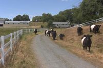 Timberland Property in Nevada County, California