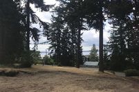 Undeveloped Land in Island County, Washington