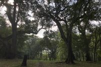 Riverfront Property in Suwannee County, Florida