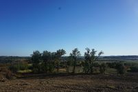 Undeveloped Land in Palo Pinto County, Texas