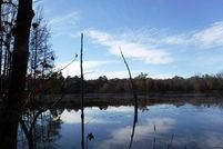 Undeveloped Land in Perry County, Arkansas