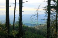 Timberland Property in Yamhill County, Oregon