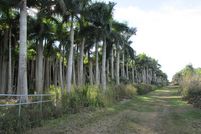 Land in Lee County, Florida