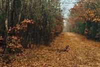 Recreational Property in Choctaw County, Oklahoma