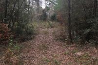 Undeveloped Land in Montgomery County, Texas