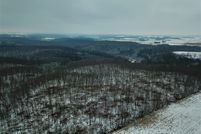 Undeveloped Land in Fillmore County, Minnesota