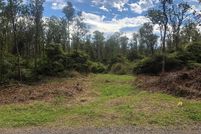 Timberland Property in Hawaii County, Hawaii