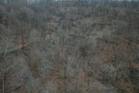 Farm and Ranch in Kanawha County, West Virginia