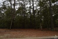 Undeveloped Land in Brunswick County, North Carolina