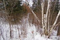 Undeveloped Land in Oneida County, Wisconsin