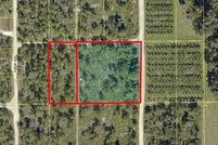 Undeveloped Land in Lee County, Florida