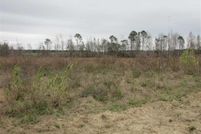 Timberland Property in Colquitt County, Georgia