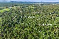 Timberland Property in Culpeper County, Virginia