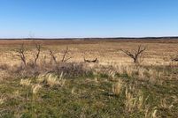 Farm and Ranch in Cottle County, Texas