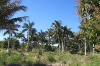 Undeveloped Land in Lee County, Florida