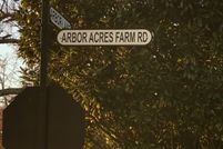 Undeveloped Land for sale in Union County, Georgia