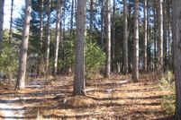 Undeveloped Land in Green Lake County, Wisconsin