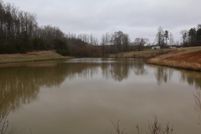 Undeveloped Land in Stokes County, North Carolina