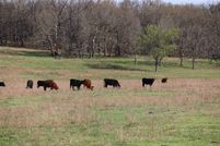 Land in Nowata County, Oklahoma