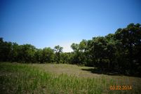 Timberland Property in Medina County, Texas