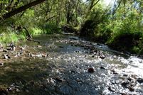 Farm and Ranch in Olmsted County, Minnesota