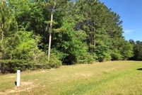 Undeveloped Land in Grimes County, Texas