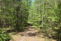 Undeveloped Land in Sequatchie County, Tennessee