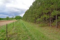 Timberland Property in Early County, Georgia
