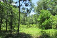 Land in Colquitt County, Georgia