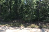 Undeveloped Land in Putnam County, Florida