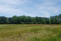 Undeveloped Land in Horry County, South Carolina