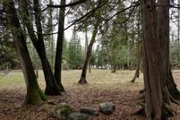 Undeveloped Land in Itasca County, Minnesota