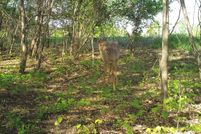 Undeveloped Land in Rice County, Minnesota