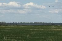 Farm and Ranch in Pondera County, Montana