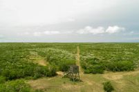 Hunting Property in Duval County, Texas