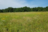 Hunting Property in Randolph County, Arkansas