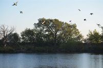 Land in Archer County, Texas