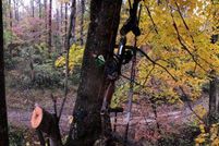 Undeveloped Land in Meigs County, Ohio