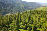 Undeveloped Land in Idaho County, Idaho