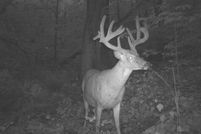 Land in Buffalo County, Wisconsin