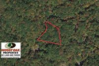 Undeveloped Land in Yancey County, North Carolina