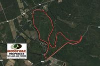 Undeveloped Land in Pender County, North Carolina