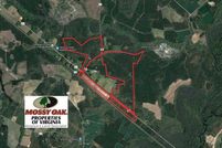Undeveloped Land in Southampton County, Virginia