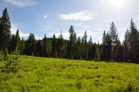 Undeveloped Land in Flathead County, Montana