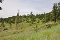 Undeveloped Land in Flathead County, Montana