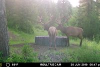 Hunting Property in Union County, Oregon